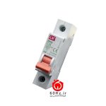 فیوز مینیاتوری تکفاز 25 آمپر ال اس LS C25