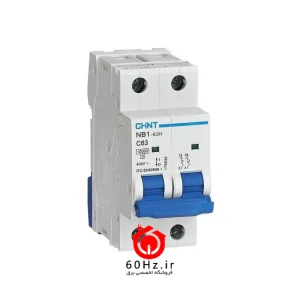 کلید مینیاتوری 25 آمپر دو پل چینت 10 کیلوآمپر مدل NB1H-2P C25A CHNT