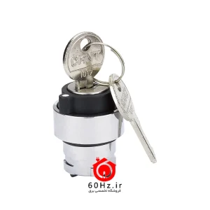 کلید فرمان سوئیچی دوحالته چینت سری NP2 مدل NP2-BG 21 CHNT