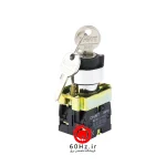 کلید فرمان سوئیچی سه‌حالته چینت سری NP2 مدل NP2-BG 33 CHNT